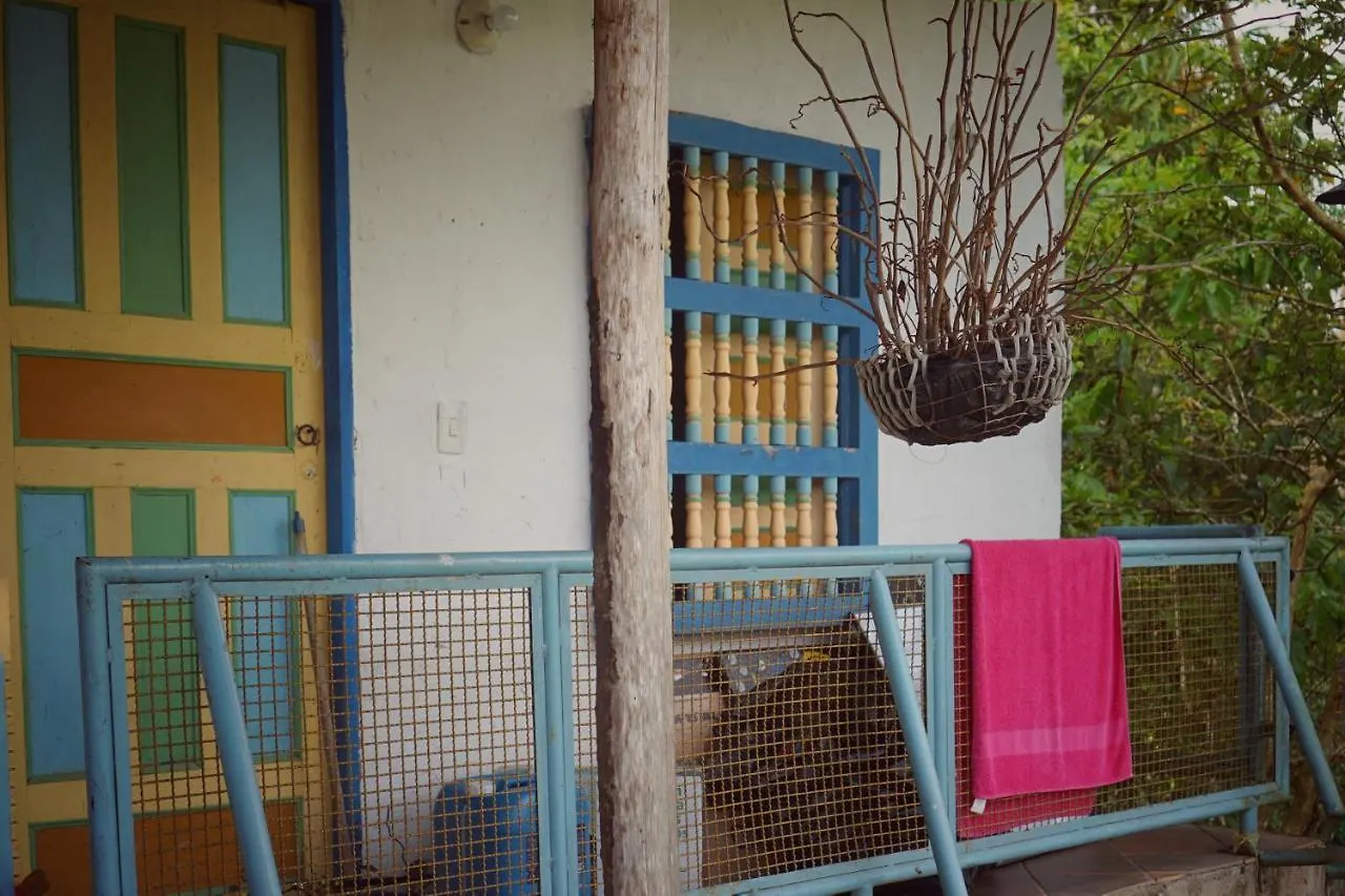 Eco Language Hostel 메딜린 콜롬비아