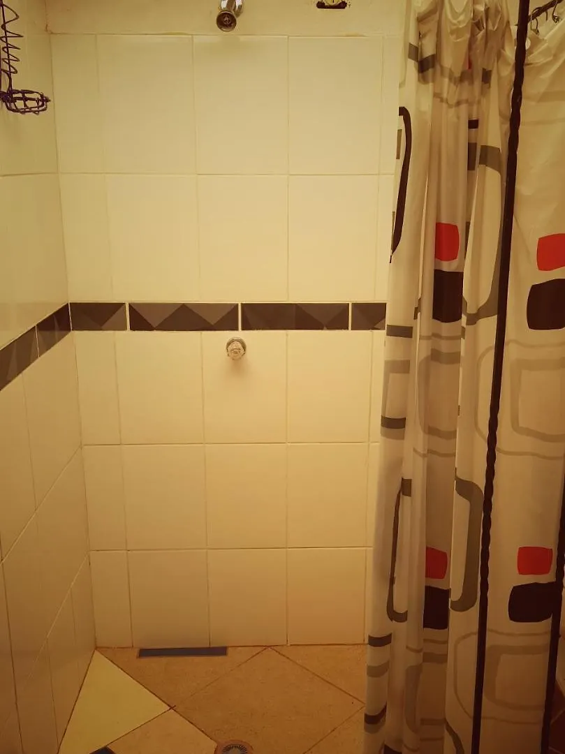 Eco Language Hostel 메딜린