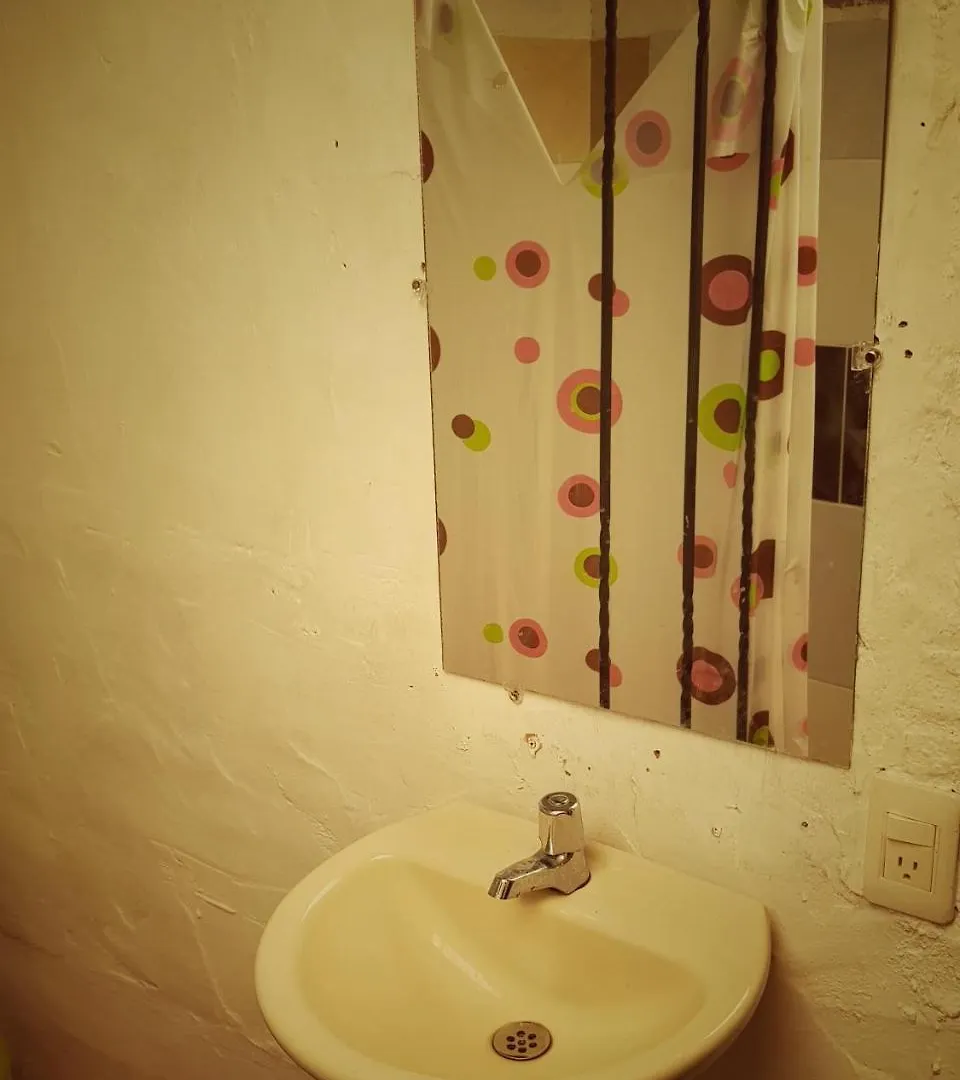 Eco Language Hostel 메딜린
