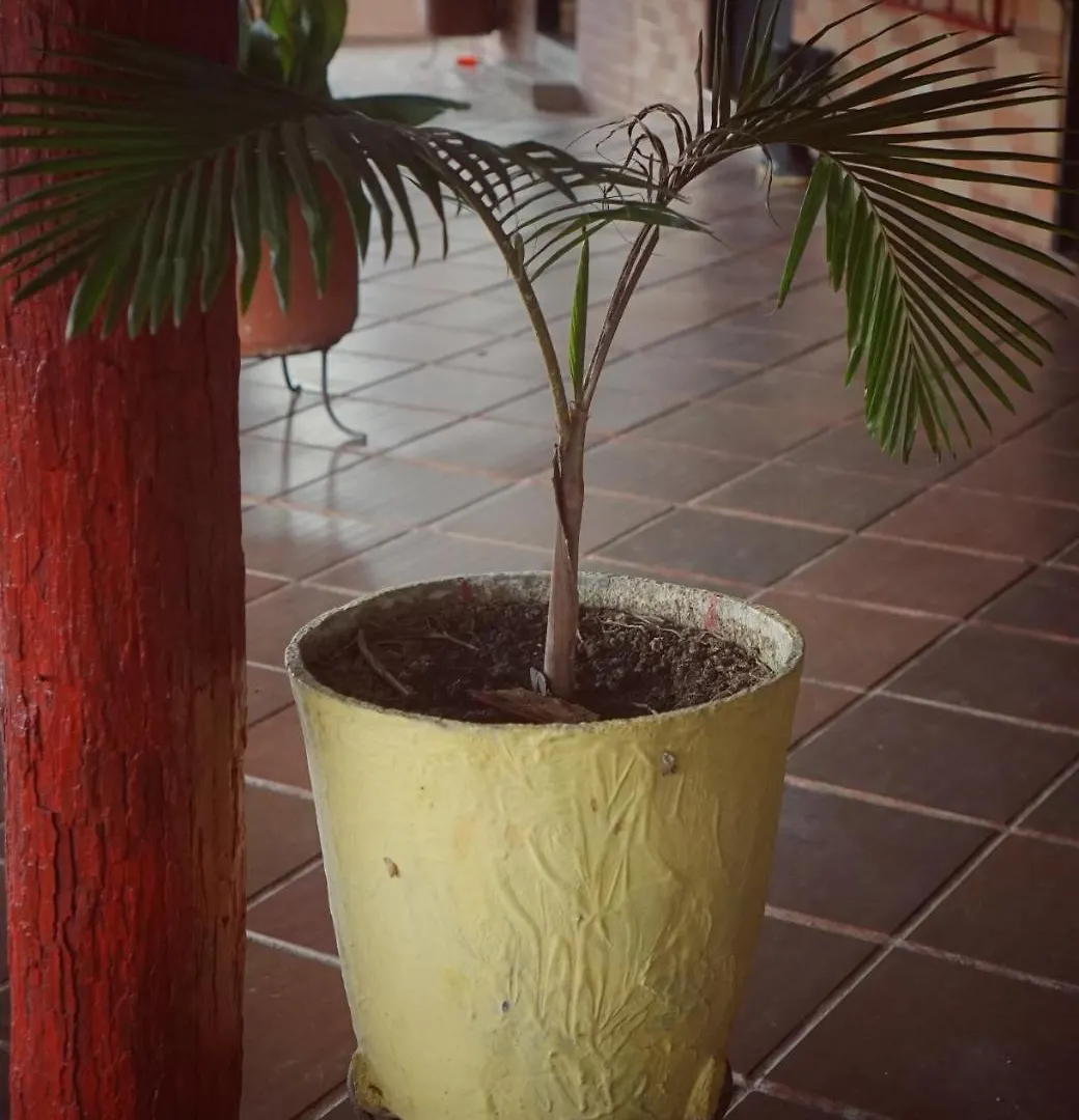 Eco Language Hostel Medellín