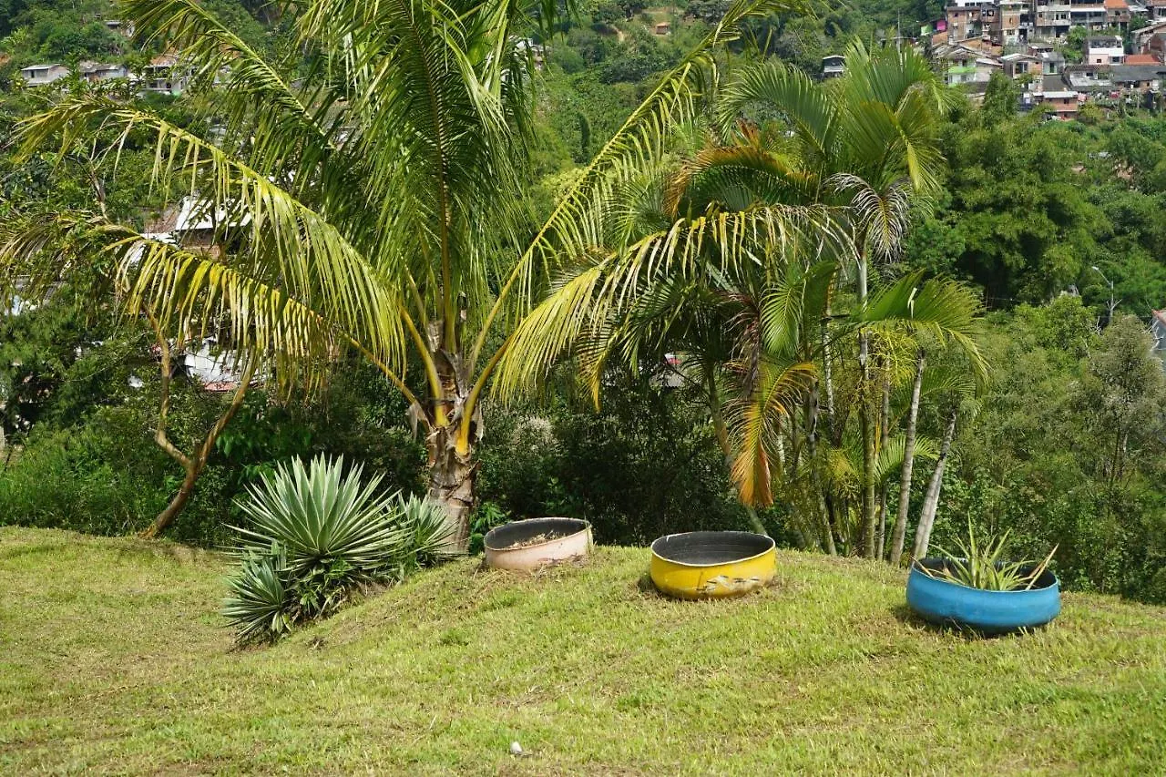 Eco Language Hostel Medellín