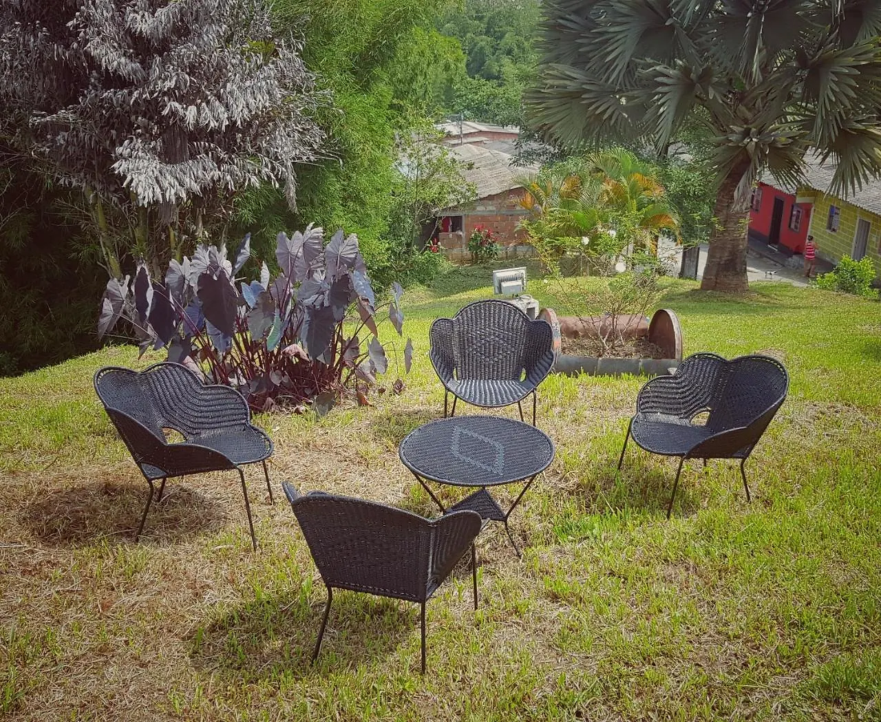 Eco Language Hostel 메딜린