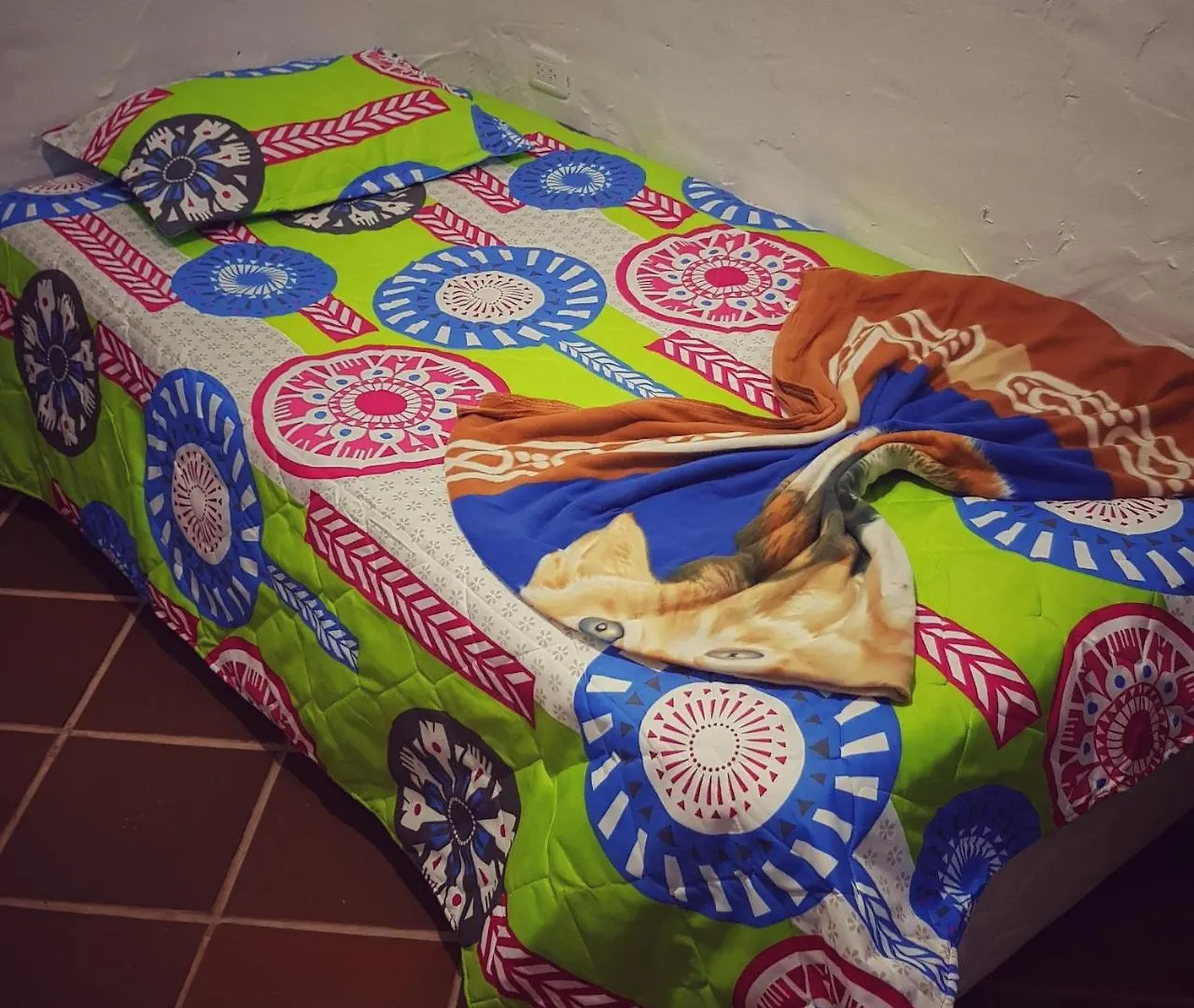 Eco Language Hostel Medellín