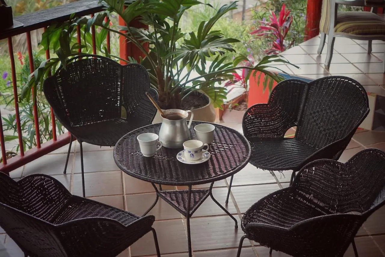 Eco Language Hostel Medellín Colombia