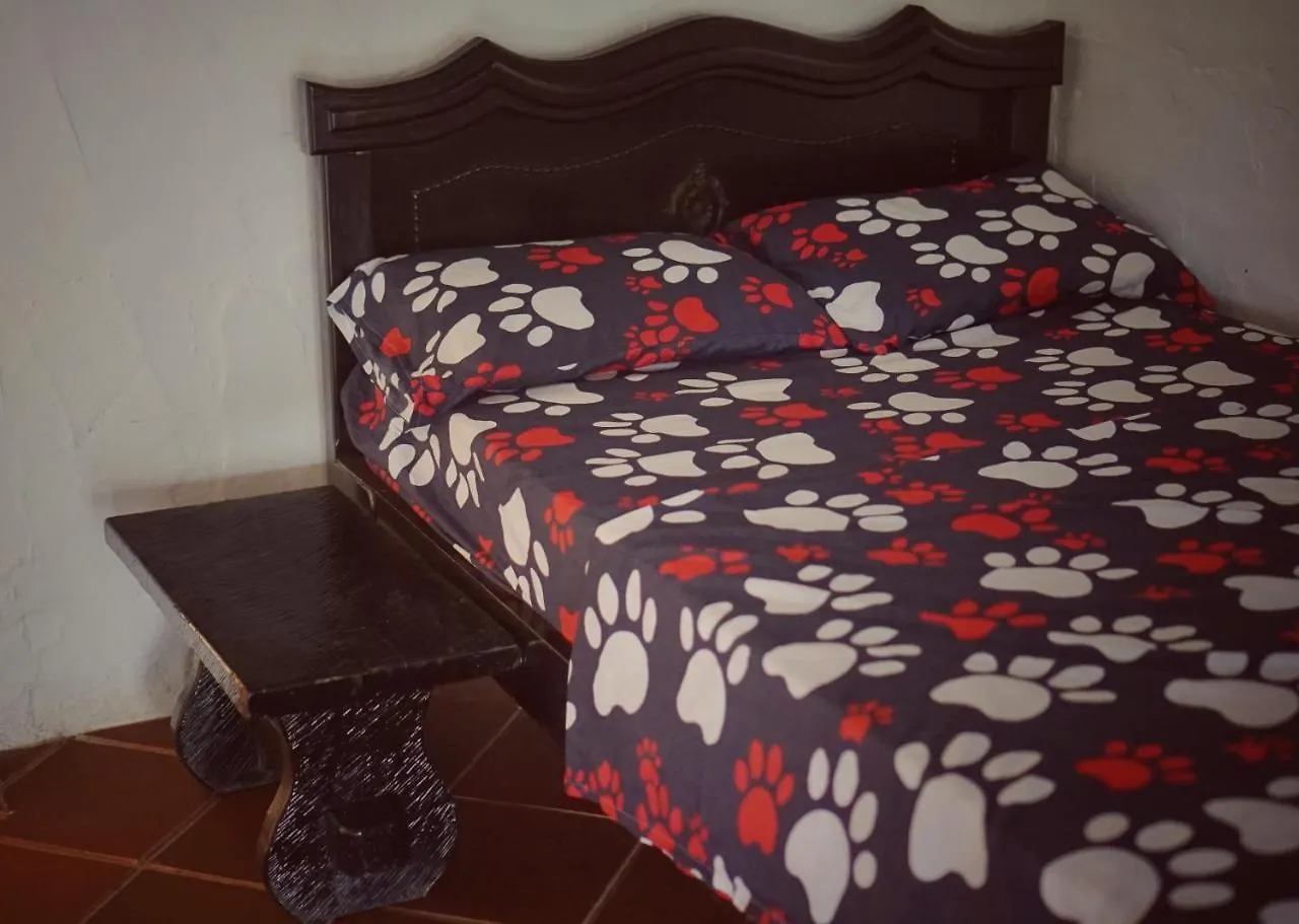 Eco Language Hostel Medellín Colombia