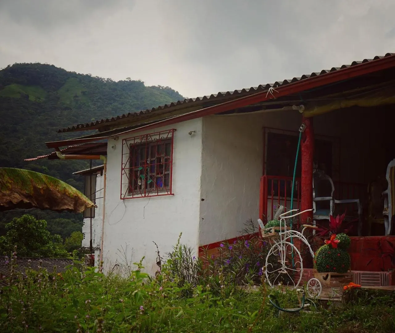 Eco Language Hostel Medellín