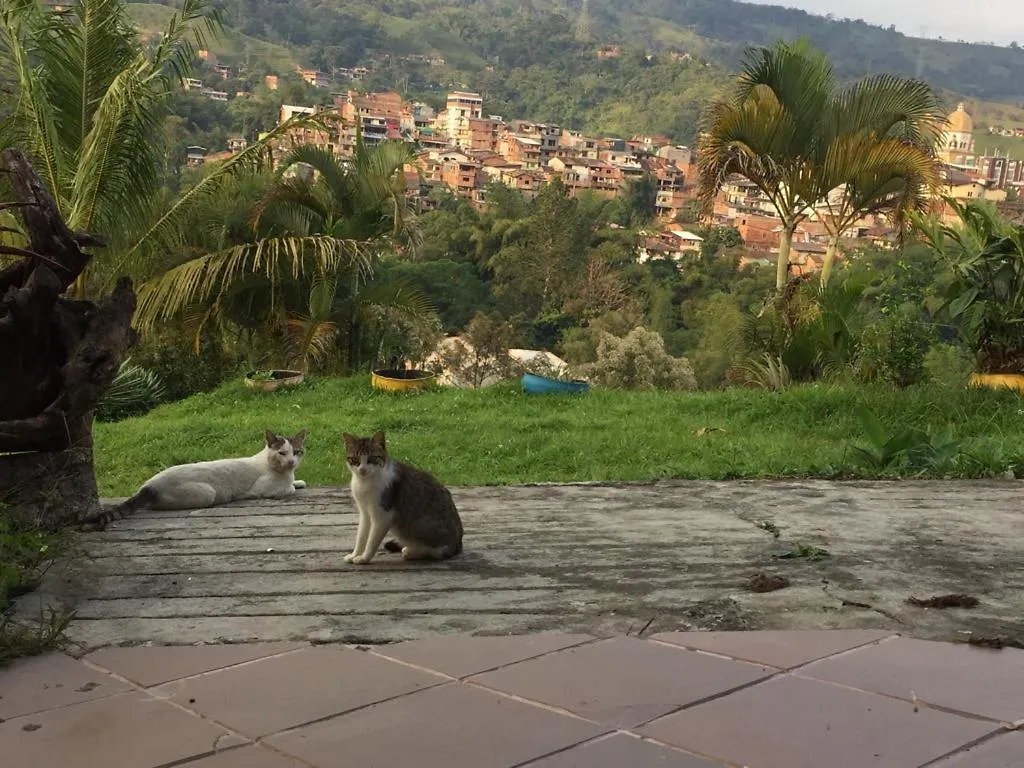 Eco Language Hostel Medellín